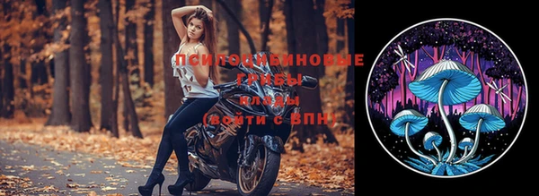 спиды Абдулино