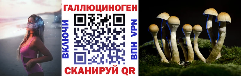 Галлюциногенные грибы MAGIC MUSHROOMS  Кадников 